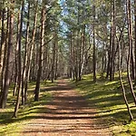 Wyspa9 - Wyspa Sobieszewska Gdańsk
